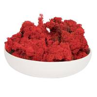 Vickerman 2Lbs Red Dried and Preserved Natural Botanicals