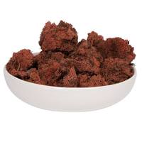 Vickerman 2Lbs Terracotta Dried and Preserved Natural Botanicals
