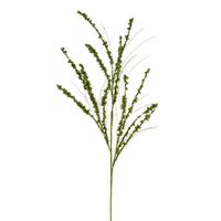 Vickerman 36" Artificial Lime Berry Twig Glitter Spray (6 Pack)
