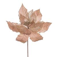 Vickerman 11" Champagne Velvet Glitter Mesh Poinsettia Spray (6 Pack)