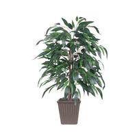 Vickerman 4' Artificial Mango Bush