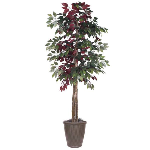 6' Artificial Deluxe Capensia Tree