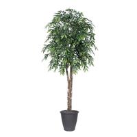 Vickerman 6' Green Smilax Deluxe Round Gray