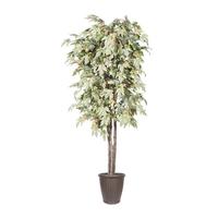 Vickerman 6' Frosted Maple Deluxe Round Brown