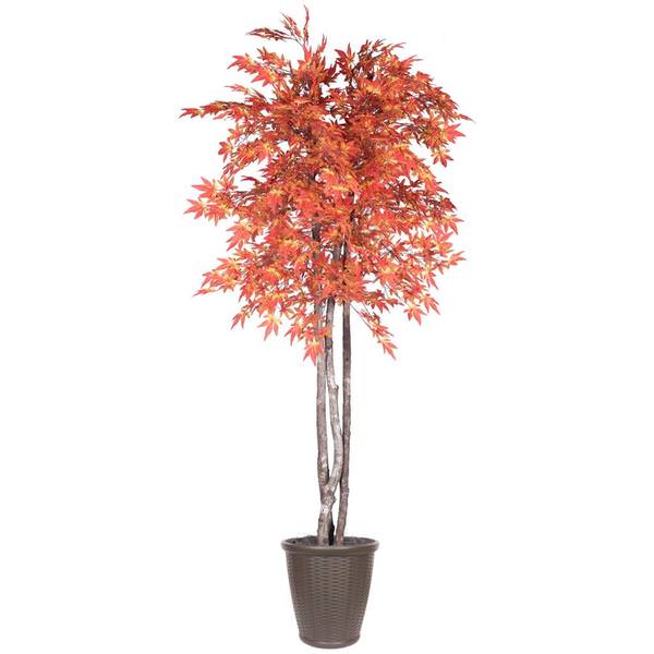6' Orange Maple Deluxe Round Brown