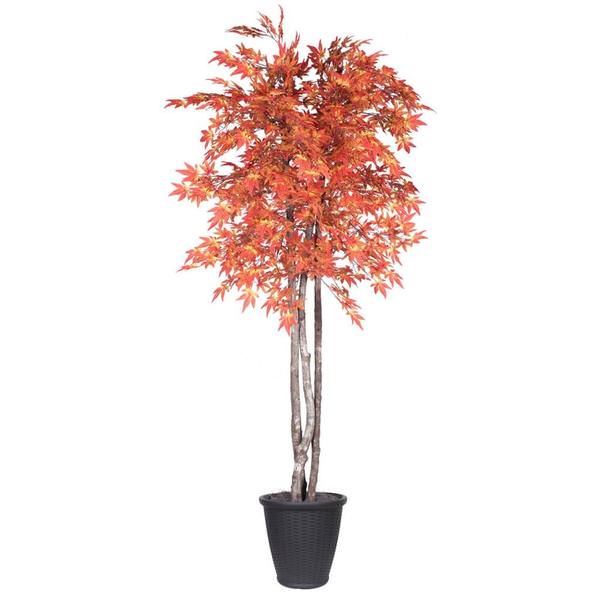 6' Orange Maple Deluxe Round Gray
