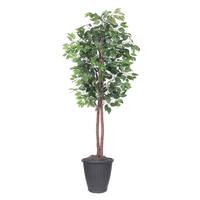 Vickerman 6' Artificial Ficus Tree