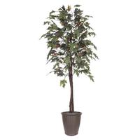 Vickerman 6' Artificial Frosted Maple Tree