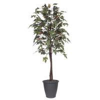Vickerman 6' Artificial Frosted Maple Tree