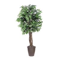 Vickerman 6' Artificial Executive Ficus Tree