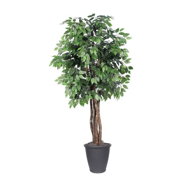 6' Artificial Executive Ficus Tree