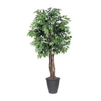Vickerman 6' Artificial Executive Ficus Tree