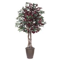Vickerman 6' Artificial Executive Capensia Tree