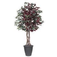 Vickerman 6' Artificial Executive Capensia Tree