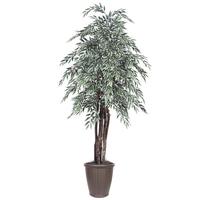 Vickerman 6' Artificial Executive Variegated Smilax Tree