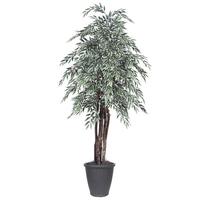 Vickerman 6' Artificial Executive Variegated Smilax Tree