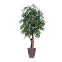 Vickerman  6' Artificial Executive Green Smilax Tree