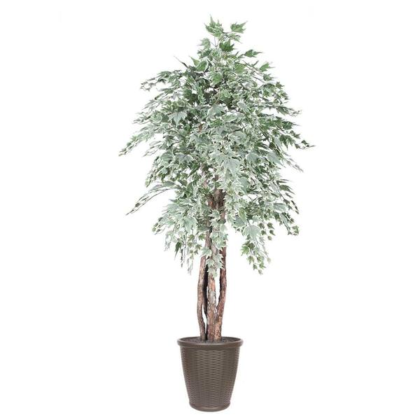 6' Silver Maple Executive Round Brown