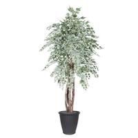 Vickerman 6' Silver Maple Executive Round Gray