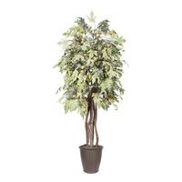 Vickerman 6' Frosted Maple Executive Round Brown