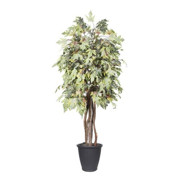 6' Frosted Maple Executive Round Gray