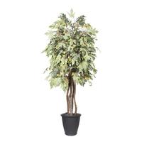 Vickerman 6' Frosted Maple Executive Round Gray