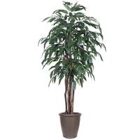 Vickerman  6' Artificial Executive Mango Tree