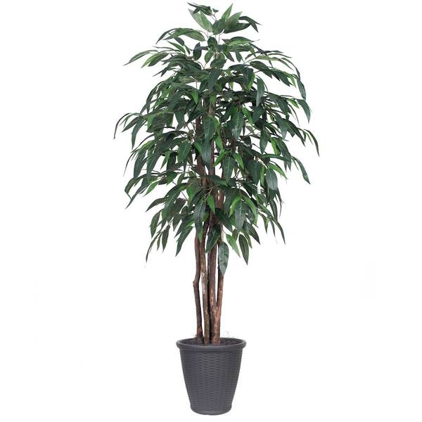  6' Artificial Executive Mango Tree