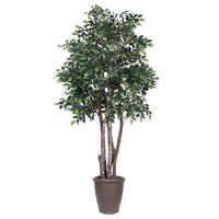 Vickerman 6' Artificial Executive Mini Ficus Tree