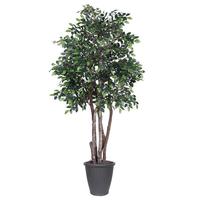 Vickerman 6' Artificial Executive Mini Ficus Tree