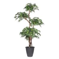 Vickerman 6' Multi Level Japanese Maple Executive Round Gray