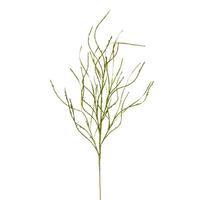 Vickerman 40" Artificial Lime Berry Cluster Wavy Glitter Spray (4 Pack)