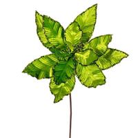 Vickerman 24" Lime Poinsettia Sequin Trim Velvet Spray (3 Pack)