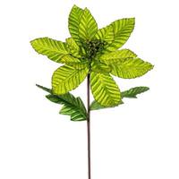 View 22" Lime Velvet Glitter Trim Poinsettia Spray (6 Pack)