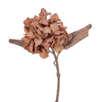 Vickerman 13" Tan Hydrangea (6 Pack)