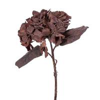Vickerman 13" Dark Brown Hydrangea (6 Pack)