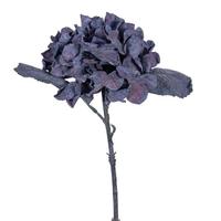 Vickerman 13" Plum Hydrangea (6 Pack)