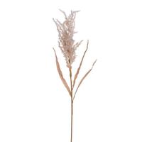 Vickerman 39" Artificial Tan Dried Plum Grass Spray (2 Pack)