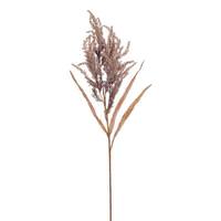 Vickerman 39" Brown Dried Plum Grass Spray (2 Pack)