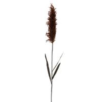 Vickerman 44" Artificial Dark Brown Glitter Reed Leaf Spray (2 Pack)