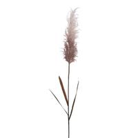 Vickerman 44" Artificial Cream Glitter Reed Leaf Spray (2 Pack)