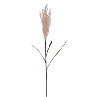 Vickerman 51" Artificial Cream Glitter Reed Spray (2 Pack)