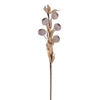 Vickerman 18" Artificial Cream Dried Fruit (3 Pack)