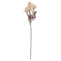 Vickerman 25.5" Artificial Cream Primrose Flower Spray (3 Pack)