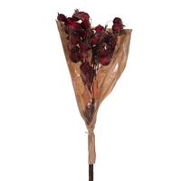 Vickerman 20" Red Artificial Dried Fruit Bunch