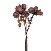 Vickerman 16.5" Artificial Light Mauve Dried Rose Bundle