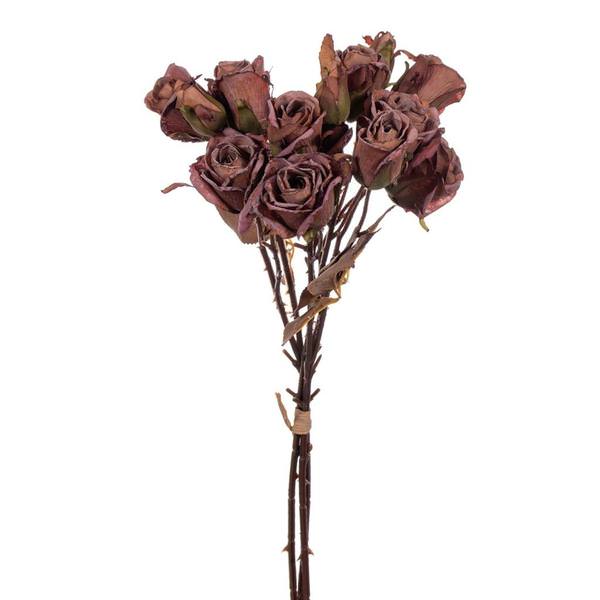 16.5" Light Orange Dried Rose Bundle