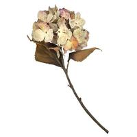 Vickerman 18.5" Plum Green Hydrangea Spray (2 Pack)