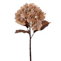 Vickerman 18.5" Cream Hydrangea Spray (2 Pack)