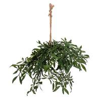 Vickerman 18" Artificial Green Mistletoe Hanger (2 pack)